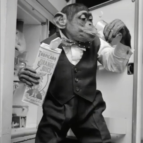 Meet your Posher, Derrick - Picture 1 of 1